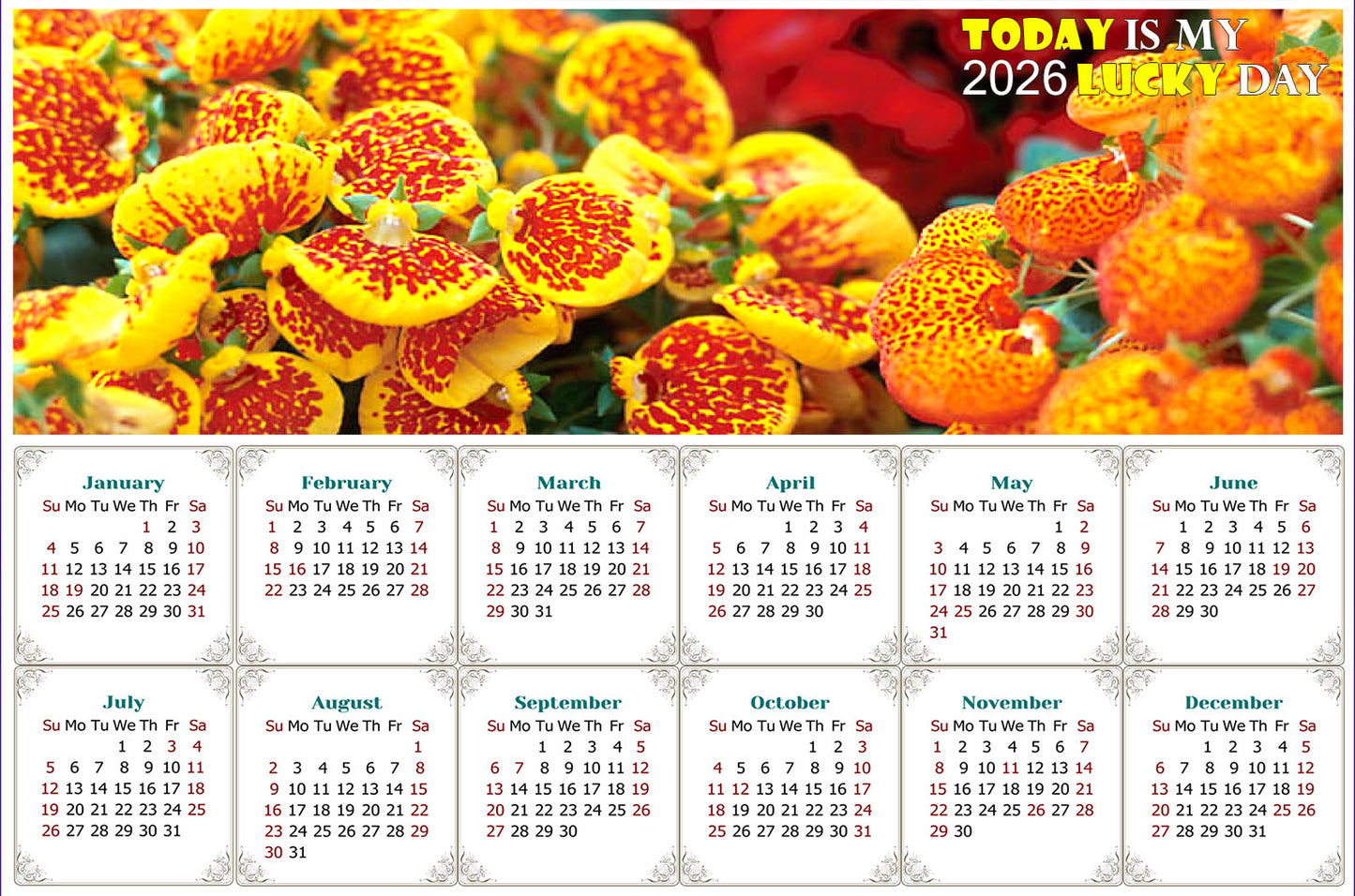 2026 Peel & Stick Calendar - Today is my Lucky Day - Removable, Repositionable - 013 (9"x 6")