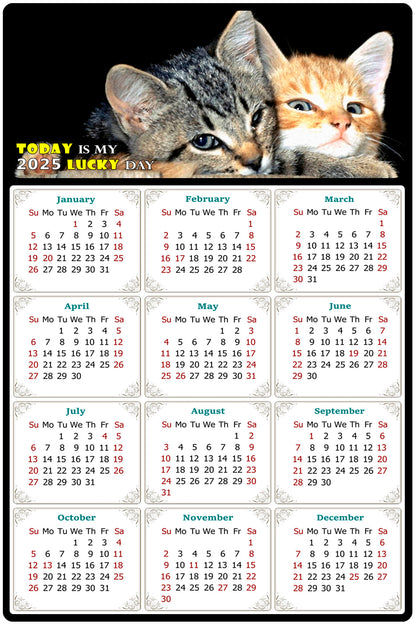 2025 Peel & Stick Calendar - Today is my Lucky Day Removable - Cat 010 (12"x 8")