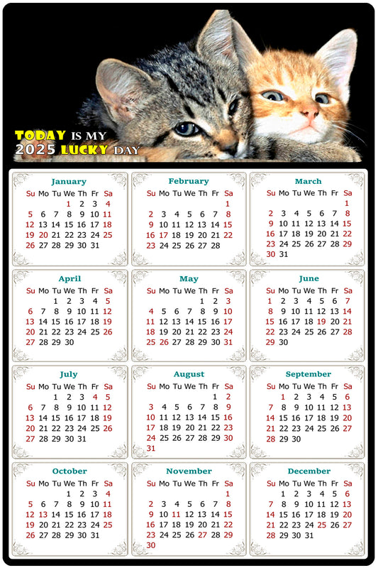2025 Peel & Stick Calendar - Today is my Lucky Day Removable - Cat 010 (12"x 8")