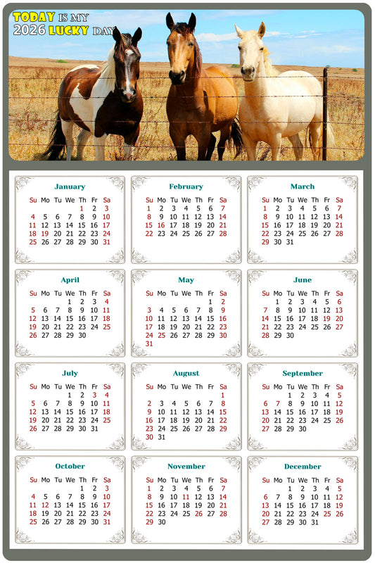 2026 Magnetic Calendar - Calendar Magnets - Today is my Lucky Day - (Fade, Tear, and Water Resistant) - Horses Themed 07