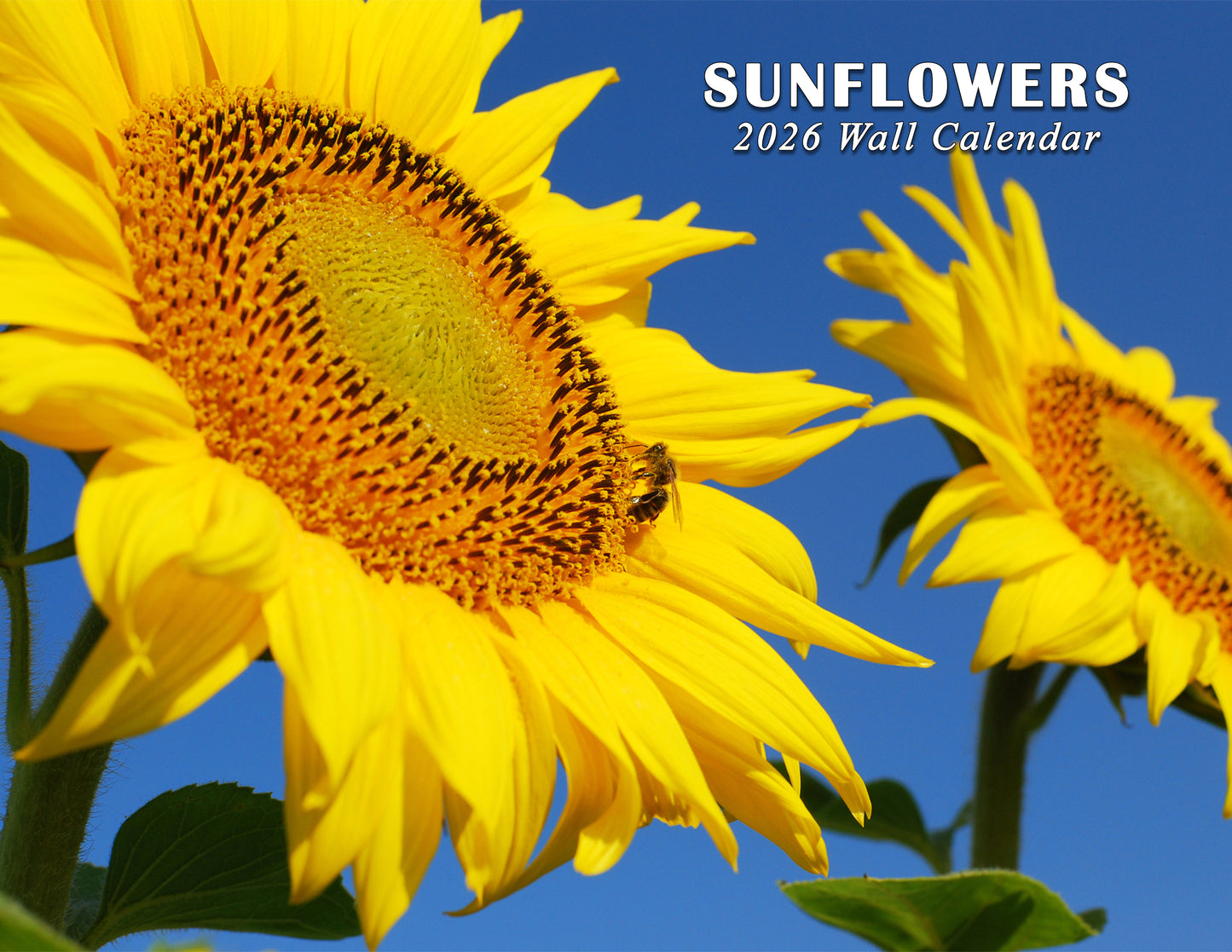 2026 Spiral-bound Wall Calendar (Sunflowers) - 12 Months Desktop/Wall Calendar/Planner
