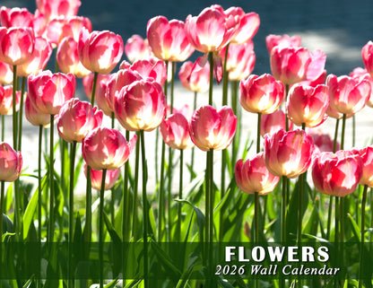 2026 Spiral-bound Wall Calendar (Flowers) - 12 Months Desktop/Wall Calendar/Planner