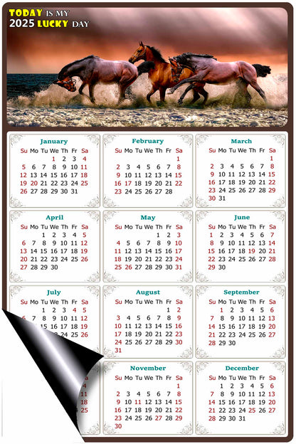 2025 Magnetic Calendar - Calendar Magnets - Today is my Lucky Day - (Fade, Tear, and Water Resistant) - Horses Themed 01