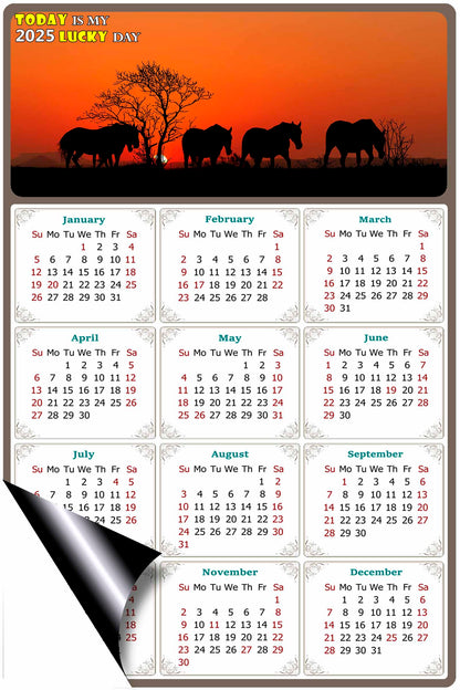 2025 Magnetic Calendar - Calendar Magnets - Today is my Lucky Day - (Fade, Tear, and Water Resistant) - Horses Themed 011