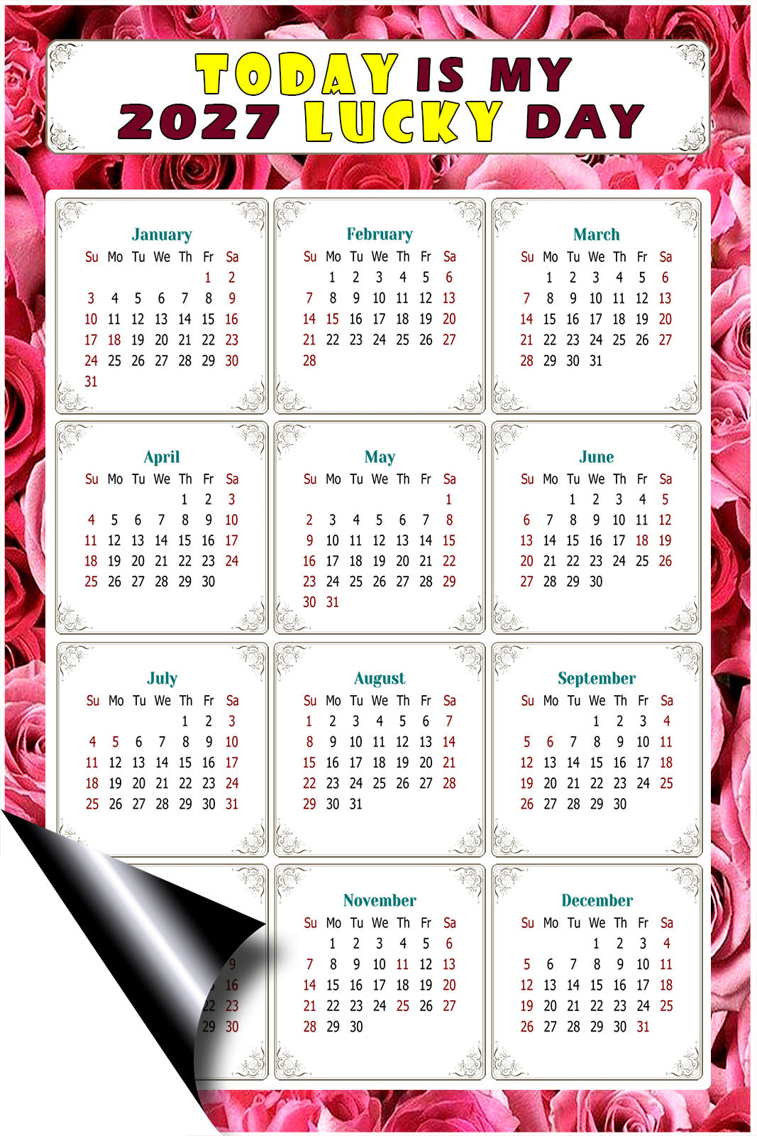 2027 Magnetic Calendar - Calendar Magnets - Today is my Lucky Day - (Fade, Tear, and Water Resistant) - Themed 028