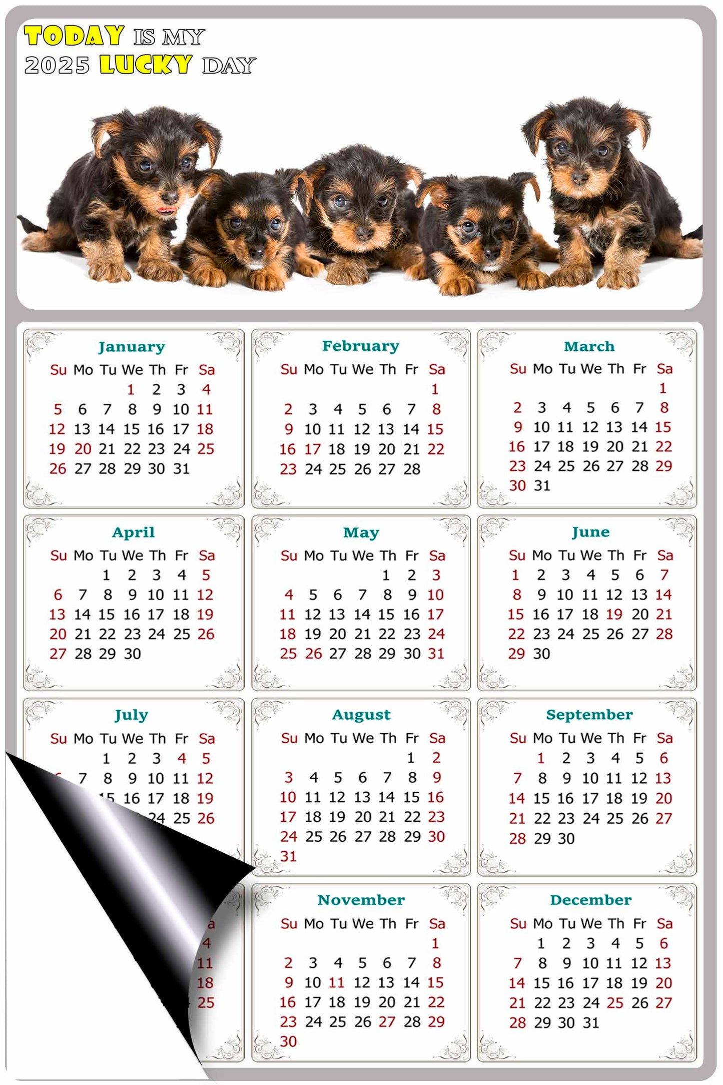 2025 Magnetic Calendar - Today is My Lucky Day (Fade, Tear, and Water Resistant)- Dogs Themed 016