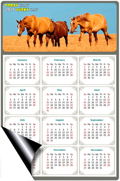 2026 Magnetic Calendar - Calendar Magnets - Today is my Lucky Day - (Fade, Tear, and Water Resistant) - Horses Themed 017