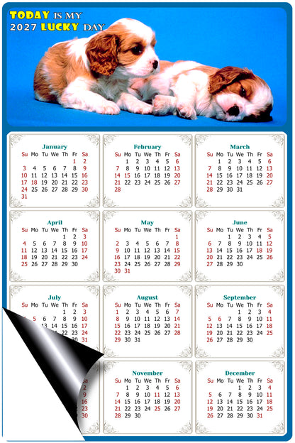 2027 Magnetic Calendar - Today is My Lucky Day (Fade, Tear, and Water Resistant)- Dogs Themed 011