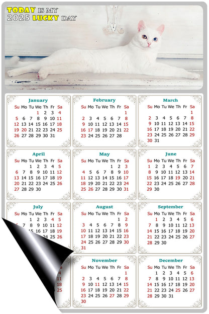 2025 Magnetic Calendar - Today is My Lucky Day (Fade, Tear, and Water Resistant)- Cat Themed 06