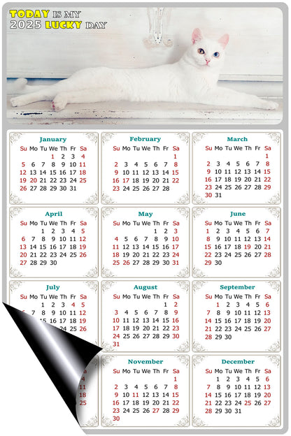 2025 Magnetic Calendar - Today is My Lucky Day (Fade, Tear, and Water Resistant)- Cat Themed 06