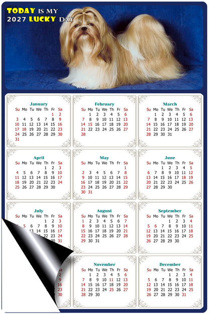 2027 Magnetic Calendar - Today is My Lucky Day (Fade, Tear, and Water Resistant)- Dogs Themed 07