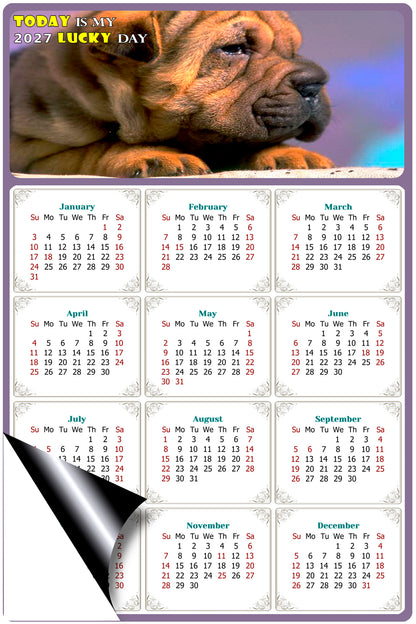 2027 Magnetic Calendar - Today is My Lucky Day (Fade, Tear, and Water Resistant)- Dogs Themed 012