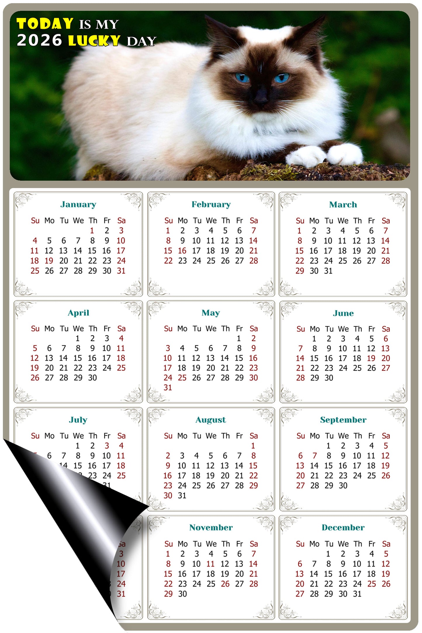 2026 Magnetic Calendar - Today is My Lucky Day (Fade, Tear, and Water Resistant)- Cat Themed 02