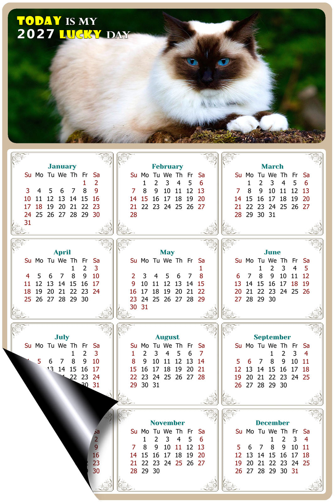 2027 Magnetic Calendar - Today is My Lucky Day (Fade, Tear, and Water Resistant)- Cat Themed 02