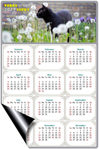 2027 Magnetic Calendar - Today is My Lucky Day (Fade, Tear, and Water Resistant)- Cat Themed 05