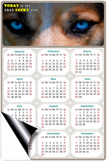 2025 Magnetic Calendar - Today is My Lucky Day (Fade, Tear, and Water Resistant)- Dogs Themed 03