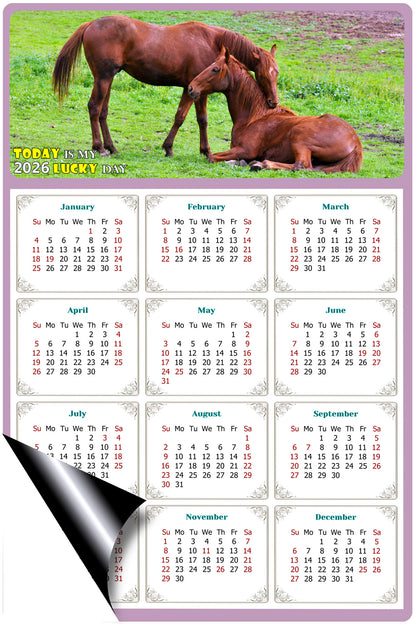 2026 Magnetic Calendar - Calendar Magnets - Today is my Lucky Day - (Fade, Tear, and Water Resistant) - Horses Themed 019