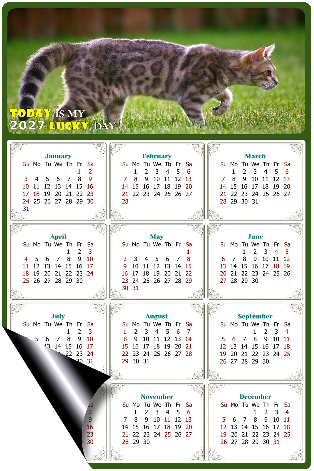 2027 Magnetic Calendar - Today is My Lucky Day (Fade, Tear, and Water Resistant)- Cat Themed 09