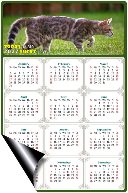 2027 Magnetic Calendar - Today is My Lucky Day (Fade, Tear, and Water Resistant)- Cat Themed 09