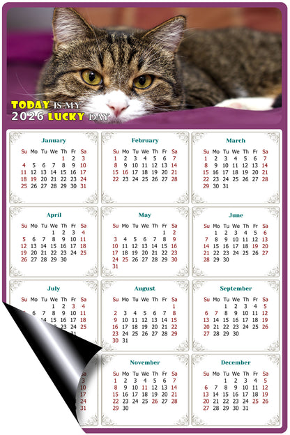 2026 Magnetic Calendar - Today is My Lucky Day (Fade, Tear, and Water Resistant)- Cat Themed 022