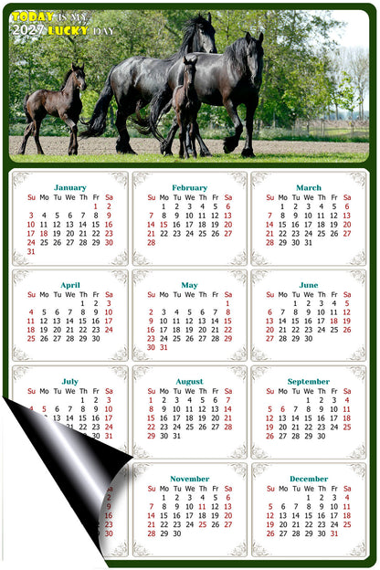 2027 Magnetic Calendar - Calendar Magnets - Today is my Lucky Day - (Fade, Tear, and Water Resistant) - Horses Themed 05