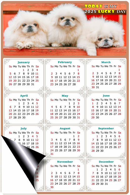 2025 Magnetic Calendar - Today is My Lucky Day (Fade, Tear, and Water Resistant)- Dogs Themed 022