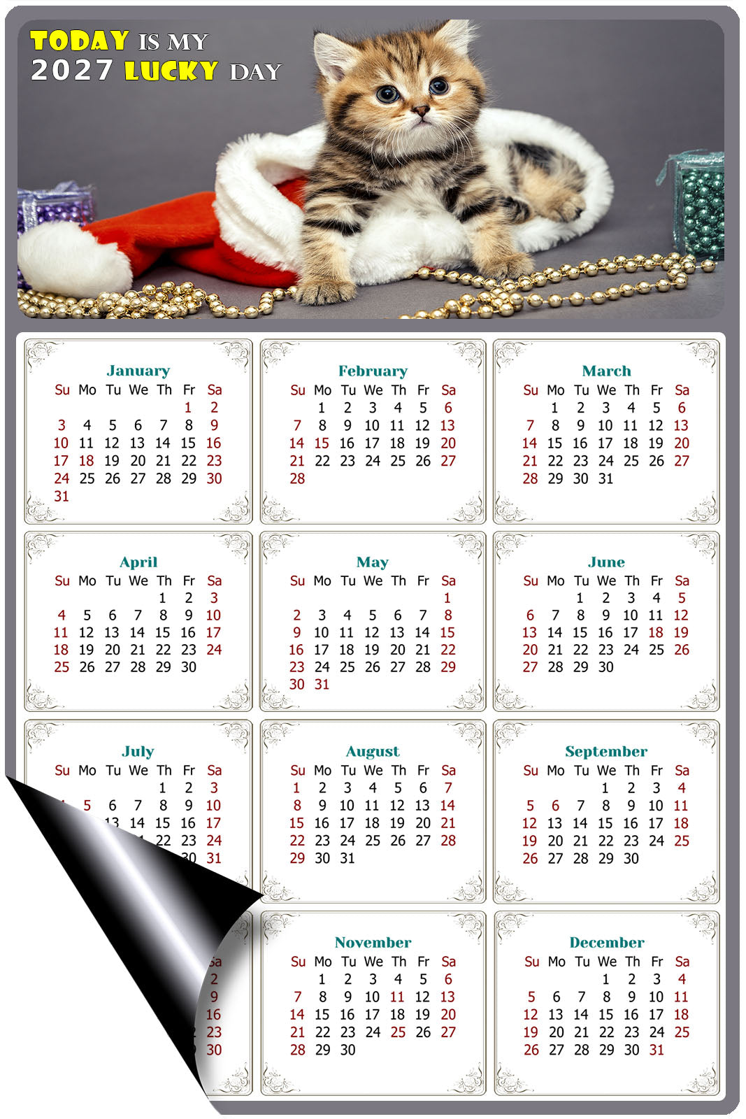 2027 Magnetic Calendar - Today is My Lucky Day (Fade, Tear, and Water Resistant)- Cat Themed 023