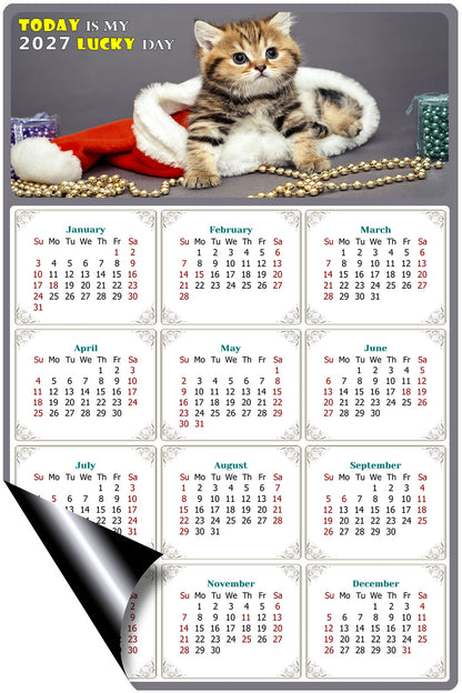 2027 Magnetic Calendar - Today is My Lucky Day (Fade, Tear, and Water Resistant)- Cat Themed 023