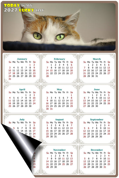 2027 Magnetic Calendar - Today is My Lucky Day (Fade, Tear, and Water Resistant)- Cat Themed 012