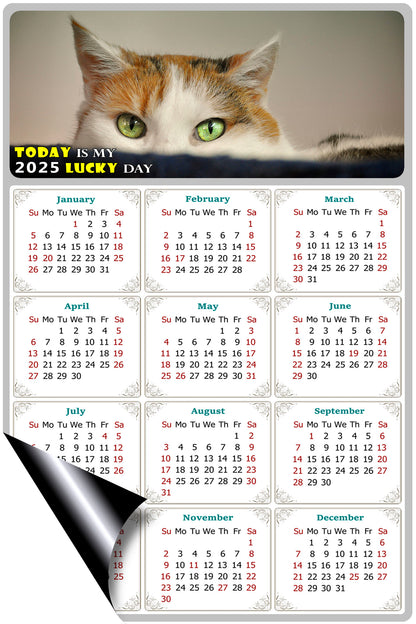 2025 Magnetic Calendar - Today is My Lucky Day (Fade, Tear, and Water Resistant)- Cat Themed 012