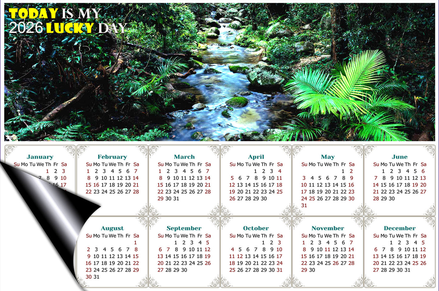 2026 Magnetic Calendar - Calendar Magnets - Today is My Lucky Day (Daintree National Park)