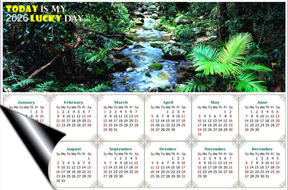2026 Magnetic Calendar - Calendar Magnets - Today is My Lucky Day (Daintree National Park)