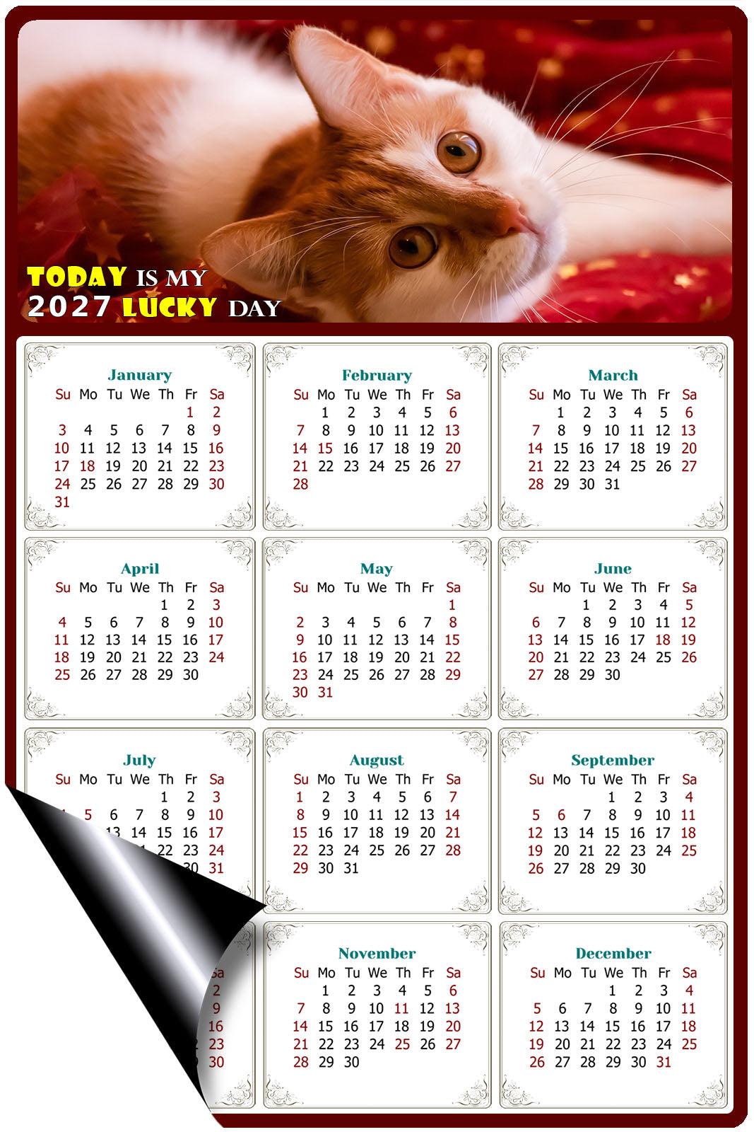 2027 Magnetic Calendar - Today is My Lucky Day (Fade, Tear, and Water Resistant)- Cat Themed 07