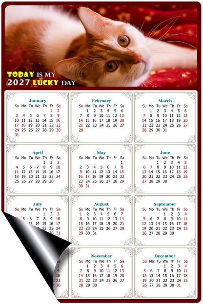 2027 Magnetic Calendar - Today is My Lucky Day (Fade, Tear, and Water Resistant)- Cat Themed 07