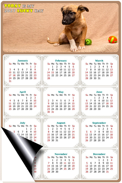 2027 Magnetic Calendar - Today is My Lucky Day (Fade, Tear, and Water Resistant)- Dogs Themed 021