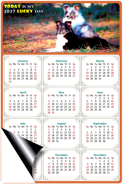 2027 Magnetic Calendar - Today is My Lucky Day (Fade, Tear, and Water Resistant)- Dogs Themed 09