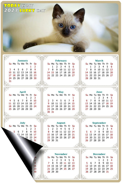 2027 Magnetic Calendar - Today is My Lucky Day (Fade, Tear, and Water Resistant)- Cat Themed 013