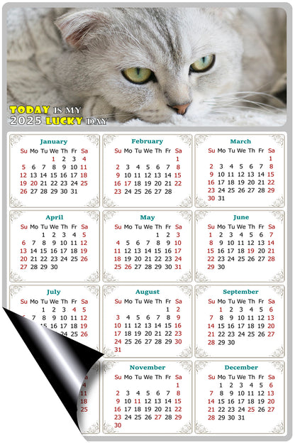 2025 Magnetic Calendar - Today is My Lucky Day (Fade, Tear, and Water Resistant)- Cat Themed 01
