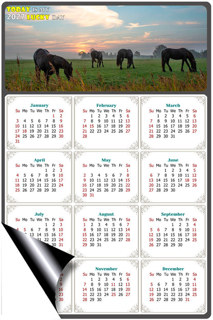 2027 Magnetic Calendar - Calendar Magnets - Today is my Lucky Day - (Fade, Tear, and Water Resistant) - Horses Themed 04
