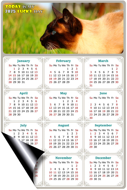 2025 Magnetic Calendar - Today is My Lucky Day (Fade, Tear, and Water Resistant)- Cat Themed 03