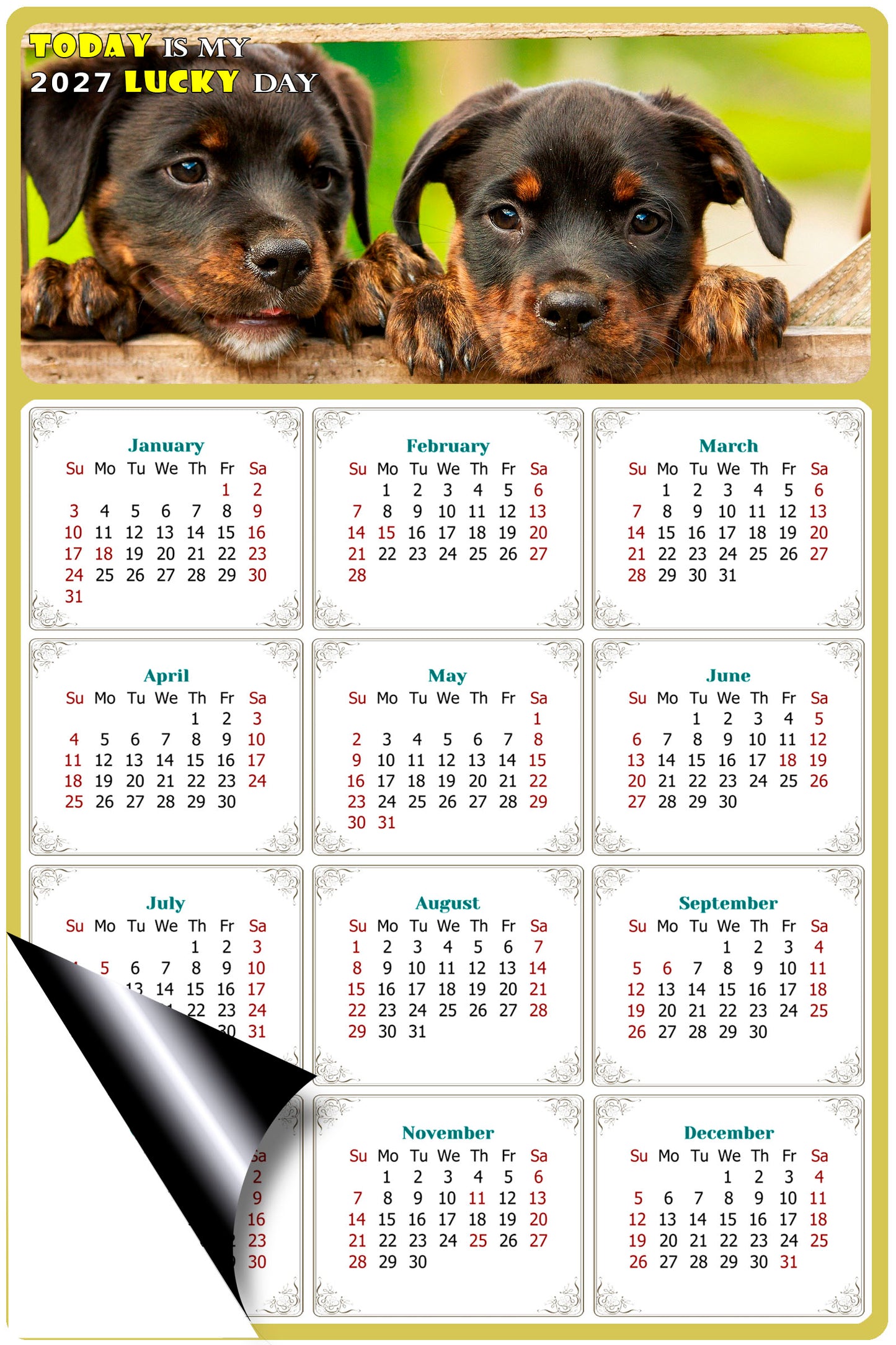 2027 Magnetic Calendar - Today is My Lucky Day (Fade, Tear, and Water Resistant)- Dogs Themed 04
