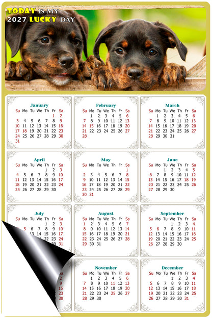 2027 Magnetic Calendar - Today is My Lucky Day (Fade, Tear, and Water Resistant)- Dogs Themed 04