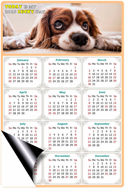 2025 Magnetic Calendar - Today is My Lucky Day (Fade, Tear, and Water Resistant)- Dogs Themed 01