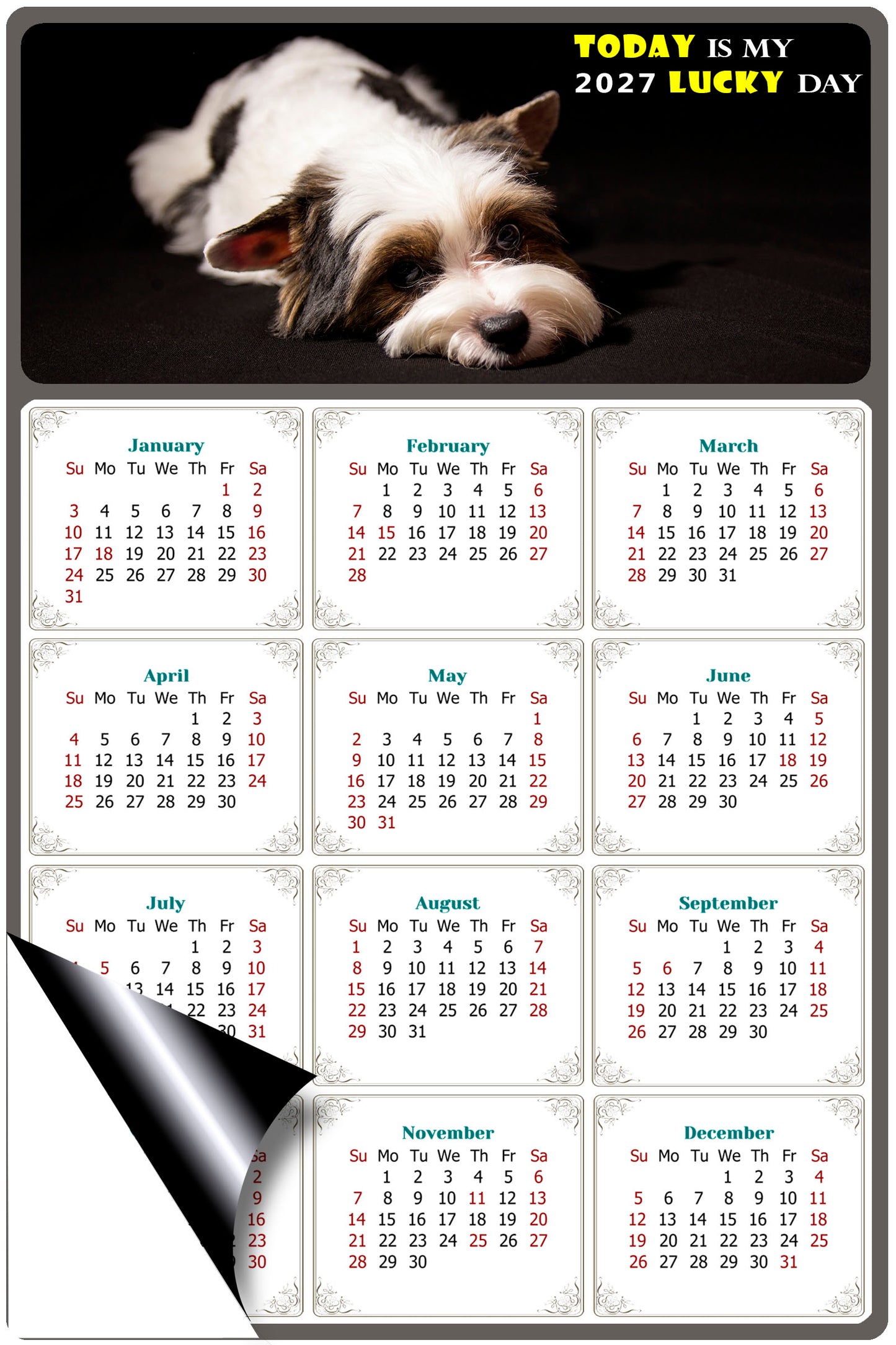 2027 Magnetic Calendar - Today is My Lucky Day (Fade, Tear, and Water Resistant)- Dogs Themed 018