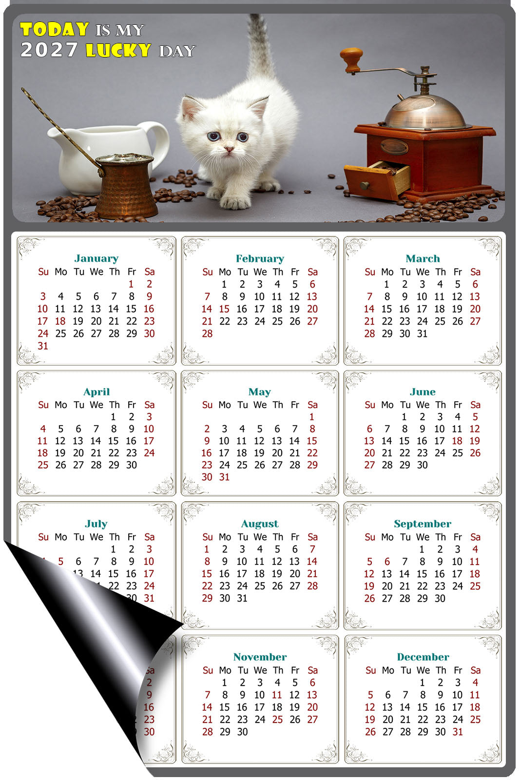 2027 Magnetic Calendar - Today is My Lucky Day (Fade, Tear, and Water Resistant)- Cat Themed 019