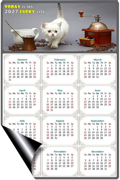 2027 Magnetic Calendar - Today is My Lucky Day (Fade, Tear, and Water Resistant)- Cat Themed 019