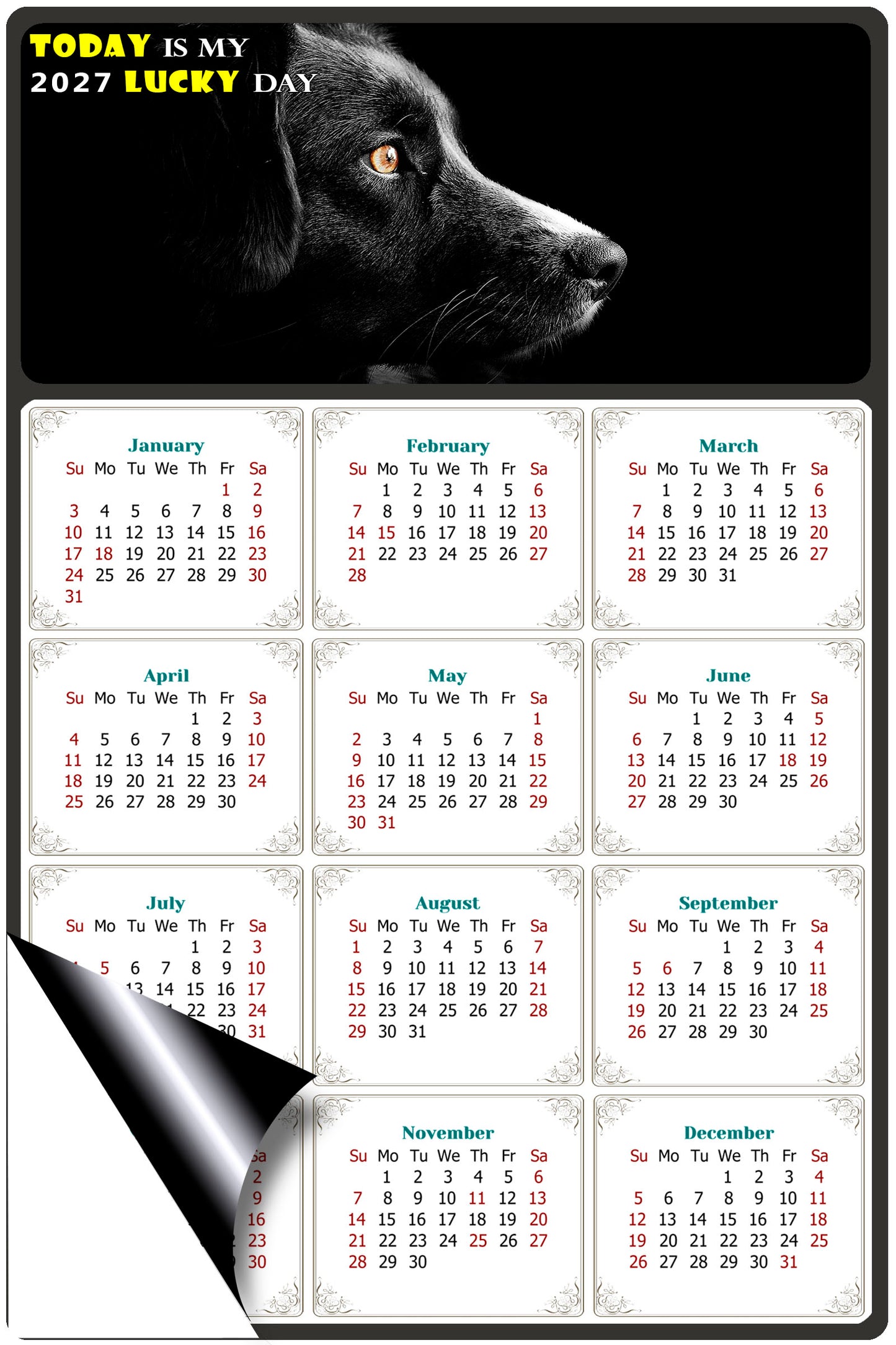 2027 Magnetic Calendar - Today is My Lucky Day (Fade, Tear, and Water Resistant)- Dogs Themed 05