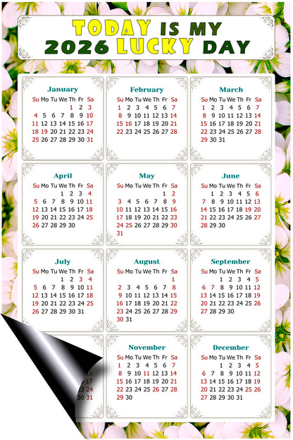 2026 Magnetic Calendar - Calendar Magnets - Today is my Lucky Day - (Fade, Tear, and Water Resistant) - Themed 029