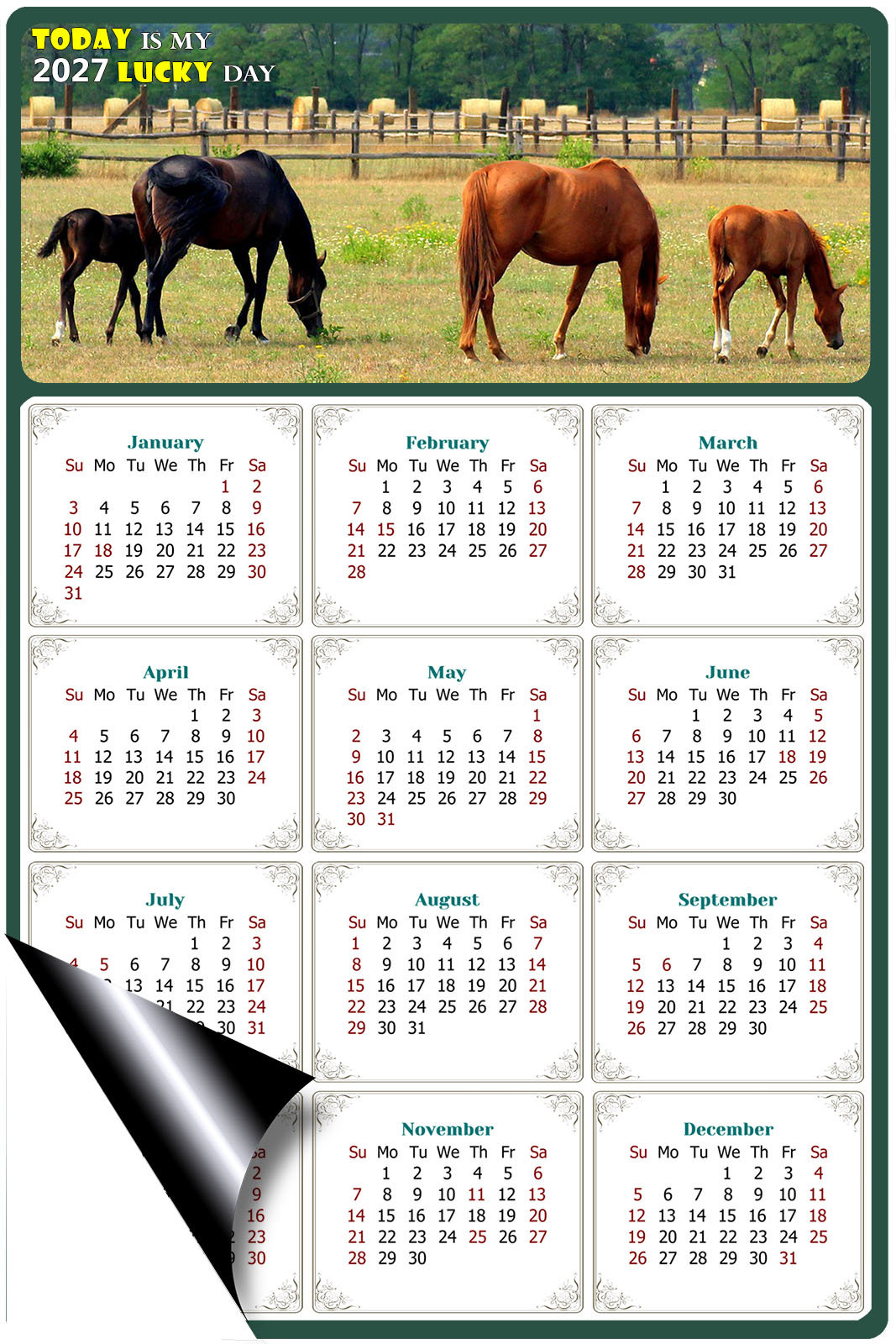 2027 Magnetic Calendar - Calendar Magnets - Today is my Lucky Day - (Fade, Tear, and Water Resistant) - Horses Themed 010