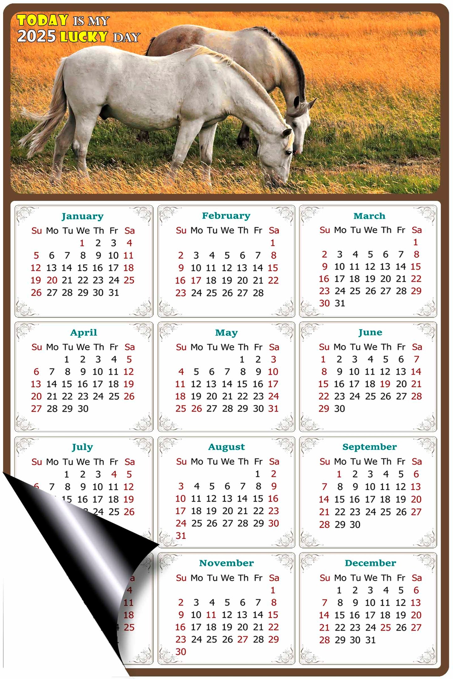 2025 Magnetic Calendar - Calendar Magnets - Today is my Lucky Day - (Fade, Tear, and Water Resistant) - Horses Themed 013